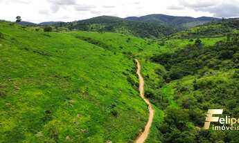 Imagem 6: FAZENDA À VENDA A 60KM DE COLATINA / ES