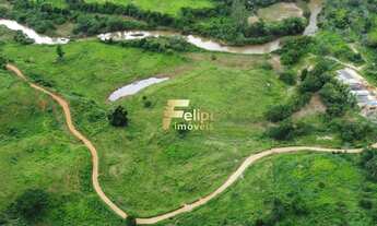 Imagem 3: Fazenda 55 alqueires escriturada produtiva com muita água em Colatina