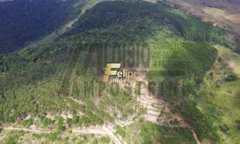 Imagem 3: Vende-se uma incrível Fazenda de 80 alqueires, localizada a apenas 80 km de Colatina!