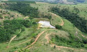 Imagem: Fazenda 55 alqueires escriturada produtiva