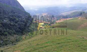 Imagem 6: Vende-se uma incrível Fazenda de 80 alqueires, localizada a apenas 80 km de Colatina!