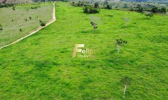 Imagem 5: Fazenda 55 alqueires escriturada produtiva com muita água em Colatina