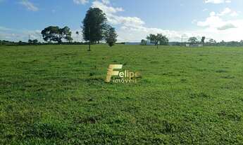 Imagem 4: MARAVILHOSA FAZENDA PARA PLANTIO DE CAFÉ