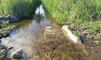 Imagem 2: MARAVILHOSA FAZENDA PARA PLANTIO DE CAFÉ