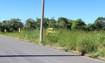 Imagem 4: TERRENO AMPLO E LINEAR EM UBÚ!