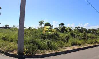 Imagem 3: TERRENO AMPLO E LINEAR EM UBÚ!