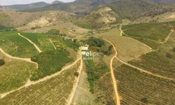 Imagem 7: Fazenda de aproximadamente 50 alqueires