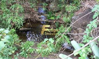 Imagem 6: Fazenda de aproximadamente 50 alqueires