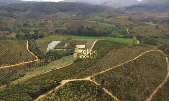 Imagem 4: Fazenda de aproximadamente 50 alqueires