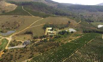 Imagem 2: Fazenda de aproximadamente 50 alqueires
