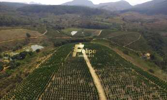 Imagem: Fazenda de aproximadamente 50 alqueires