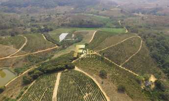 Imagem 3: Fazenda de aproximadamente 50 alqueires