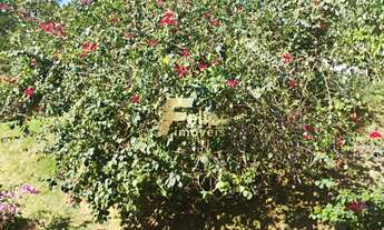 Imagem 3: EXCELENTE SÍTIO À VENDA NA REGIÃO DE IGUAPE, GUARAPARI/ES!