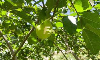 Imagem 4: EXCELENTE TERRENO COM 1.200 m2 DE ÁREA E 700 m2 DE PLATÔ, À VENDA EM CONDOMÍNIO FECHADO, E