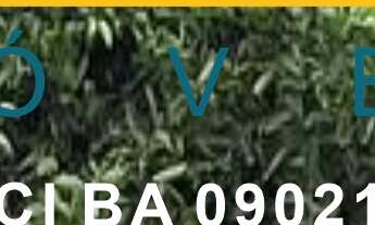 Imagem 6: CHACARA RURAL em SÃO GONÇALO DOS CAMPOS - BA, magalhaes