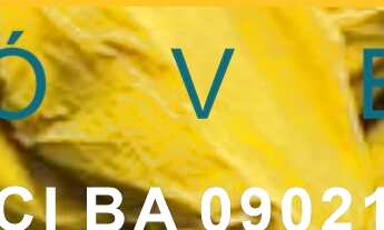 Imagem 7: CHACARA RURAL em SÃO GONÇALO DOS CAMPOS - BA, magalhaes