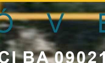 Imagem 3: AREA INDUSTRIAL em FEIRA DE SANTANA - BA, NOVO HORIZONTE