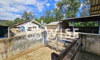 Imagem 3: Fazenda de 341 hectares na região de Juiz de Fora, divisa com estado do Rio de Janeiro