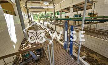 Imagem 4: Fazenda de 341 hectares na região de Juiz de Fora, divisa com estado do Rio de Janeiro