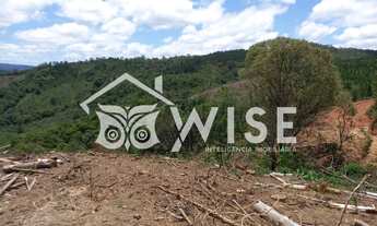 Imagem 4: Oportunidade única de adquirir um imóvel rural 112,31 hectares, com excelente localização