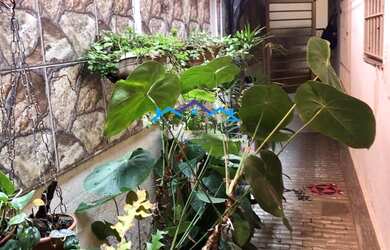 Imagem 2: CASA RESIDENCIAL em SÃO PAULO - SP, CIDADE DOMITILA