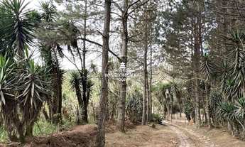 Imagem 7: AREA RESIDENCIAL em COTIA - SP, TABOLEIRO VERDE