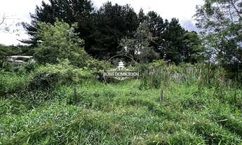 Imagem 4: LOTE FAZENDINHA c/ 1.420 m² de terreno PRONTO PARA CONSTRUIR