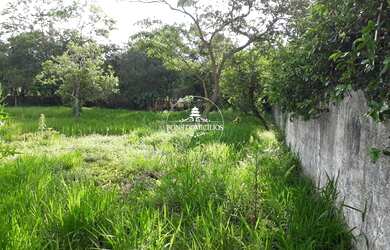 Imagem 7: Cond Passárgada D - LOTE 1.483,16m², praticamente plano, 100% aproveitável!