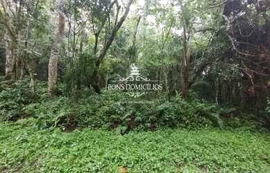 Imagem 6: TERRENO PARA CONSTRUÇÃO DE VILAGIO/CONDOMÍNIO