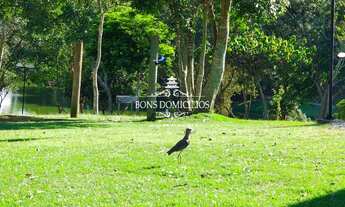 Imagem: FUJA DO CAOS DE SP! encontre o equilíbrio