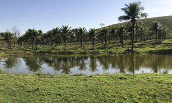 Imagem: SITIO RURAL em CACHOEIRAS DE MACACU - RJ