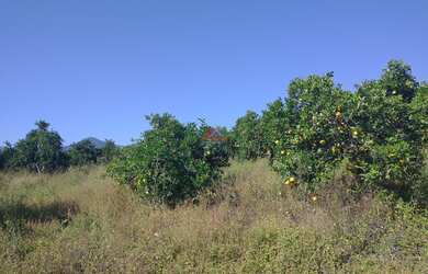 Imagem 2: SITIO RURAL em TANGUÁ - RJ, Riachão