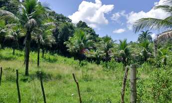 Imagem 3: SITIO RURAL em CACHOEIRAS DE MACACU - RJ, Japuíba