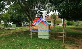 Imagem 2: SITIO RURAL em ITABORAÍ - RJ, PERÓBAS (PACHECOS