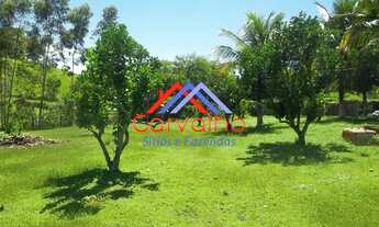 Imagem 3: SITIO RURAL em ITABORAÍ - RJ, PERÓBAS (PACHECOS