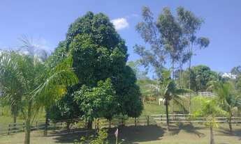 Imagem 4: Niterói Friburgo - Lindo sítio para lazer e residência