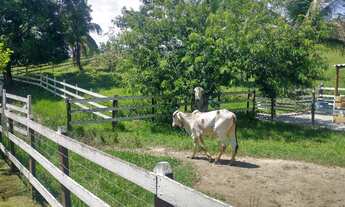 Imagem 5: Niterói Friburgo - Lindo sítio para lazer e residência