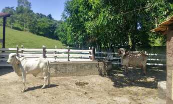 Imagem 6: Niterói Friburgo - Lindo sítio para lazer e residência