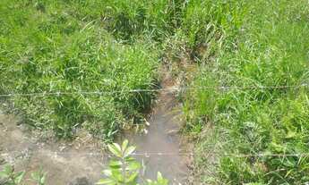 Imagem 6: Estrada Niterói Friburgo ? 8 alqueires totalmente PRONTO