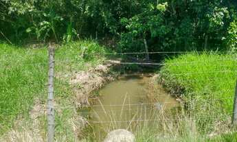 Imagem 7: Estrada Niterói Friburgo ? 8 alqueires totalmente PRONTO