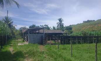 Imagem 3: Estrada Niterói Friburgo ? 8 alqueires totalmente PRONTO