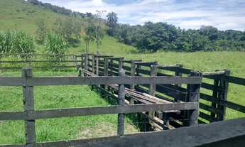 Imagem 4: Estrada Niterói Friburgo ? 8 alqueires totalmente PRONTO