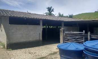 Imagem 5: Estrada Niterói Friburgo ? 8 alqueires totalmente PRONTO