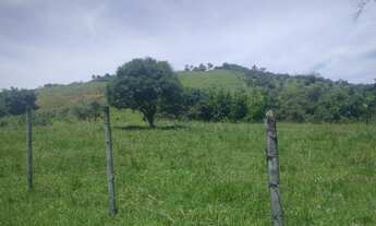 Imagem 2: Estrada Niterói Friburgo ? 8 alqueires totalmente PRONTO