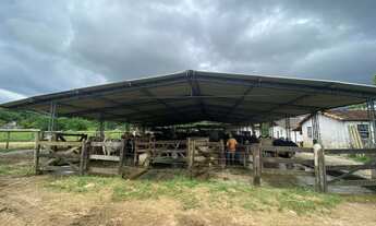 Imagem: FAZENDA RURAL em Cachoeiras de Macacu