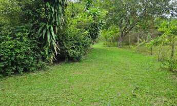 Imagem 4: SITIO RURAL em ITABORAÍ - RJ, PICOS