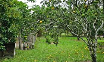 Imagem 7: SITIO RURAL em ITABORAÍ - RJ, PICOS