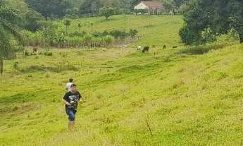 Imagem 7: FAZENDA RURAL em RIO BONITO - RJ, Sambê
