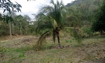 Imagem 5: SITIO RURAL em RIO BONITO - RJ, Rio dos Indios