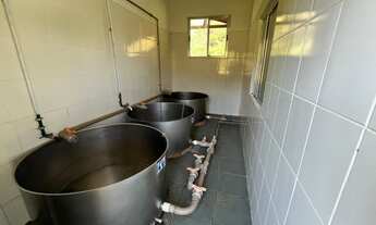 Imagem: FAZENDA RURAL em SÃO JOSÉ DO TURVO - RJ